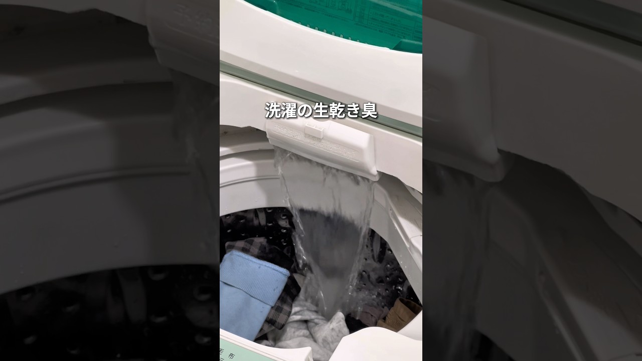 【たったこれだけ】洗濯のニオイ対策#PR #生乾き臭 #部屋干し #洗濯槽掃除