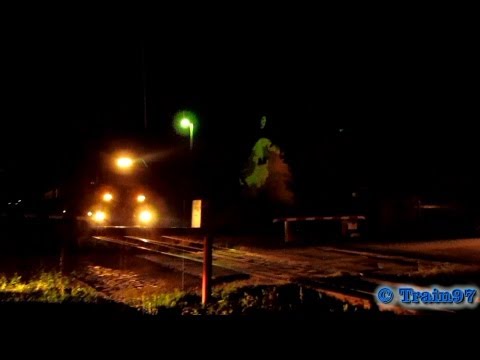 Izabella - Jimmy 65-0950-9 in Bratca (25 08 2013)