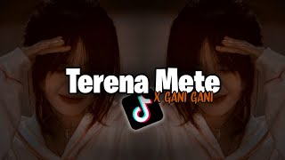 Download lagu Dj Terena Mete VIRAL TIKTOK x Gani Gani Slow Bass || Thailand Style mp3