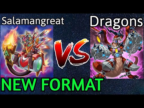 Salamangreat Vs Dragon Link NEW FORMAT Yu-Gi-Oh!