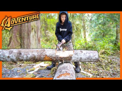 Mexican Adventure Agent Log In Detailed Login