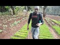 How To Drench Spray Onion Nursery 4th Epsd