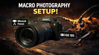 Setting up the Sony A7V For Macro Photography! Tips and tricks for all cameras!