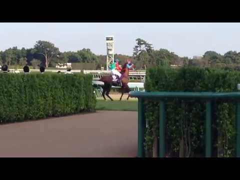 2015/10/04 中山競馬場　スプリンターズS　ハクサンムーンのくるくる回転