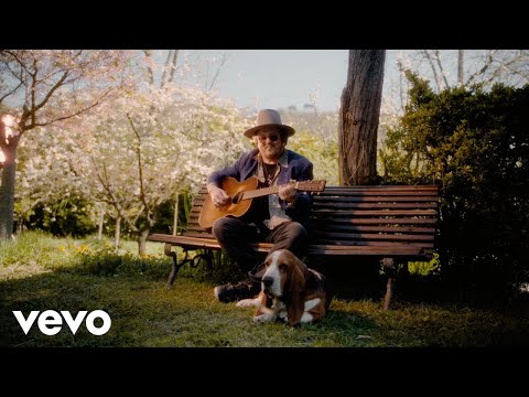 A écouter en préparant Cake à l'orange