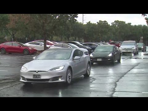 Teslas on parade: Austinites gather in cars to celebrate car company's Texas arrival