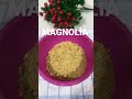 Tam kıvamında 👌MAGNOLİA