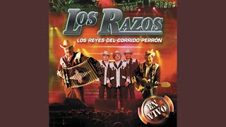 Corazón De Perico (Live)