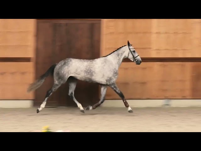 Gaits