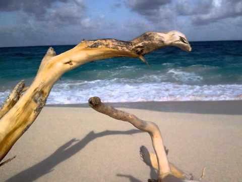 MIKE GROSVENOR ~ Every Dog Day