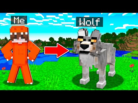 Wolf Pranks in DinoWorld - Minecraft Trolling