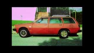 The Magnetic Fields - Luckiest Guy on the Lower East Side (Live)