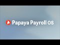 Papaya Payroll OS: Payroll. Payments. Power