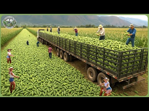 The 2025 Harvest Rush - How Farmers Reap 9.8 Billion Tons of Crops In Massive Harvests
