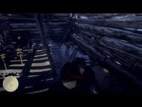 Red Dead Redemption 2 Schatzkarte der GIFTPFAD 2000$ schnell gemacht