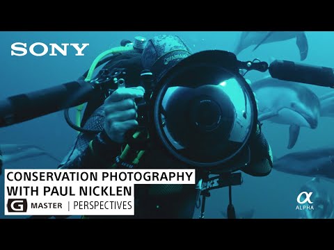 Conservation & Passionate Storytelling with Paul Nicklen | G Master Perspectives