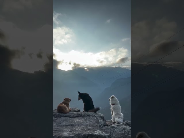 Vídeo relacionado con Shudehill Cottage Pebble Lane Collection (Friends are the family we choose)