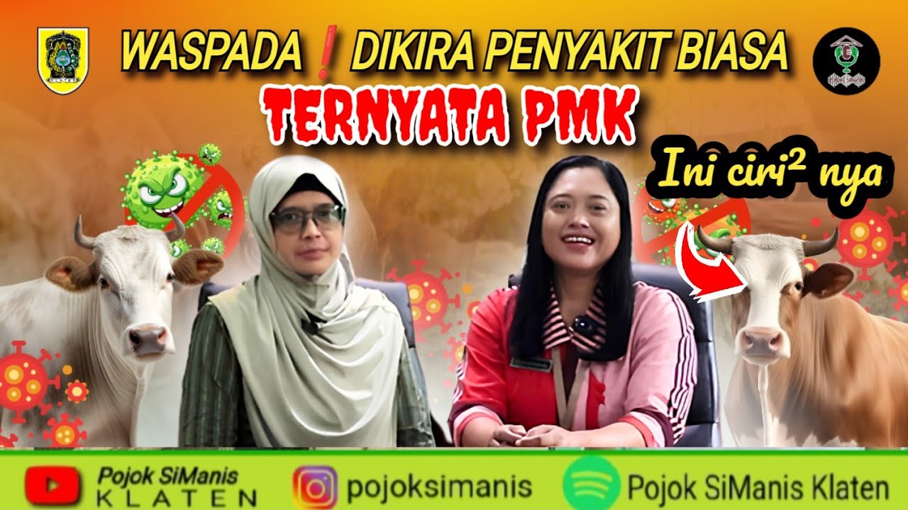WASPADA❗DIKIRA HANYA PENYAKIT BIASA, TERNYATA PMK, KENALI CIRI² NYA