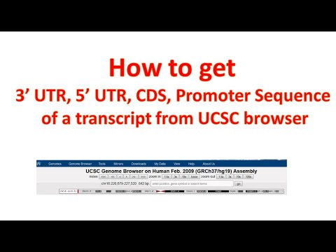 5' UTR, 3' UTR, CDS, Promoter sequence of a transcript  from UCSC Genome browser
