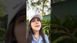 Estava passeando e ouvi isso...  #ccb #musica