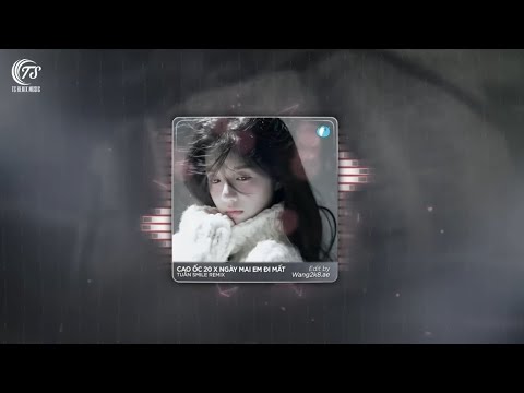 Cao Ốc 20 ( Tuấn Smile Remix ) - B RAY x DATG ♬ Nhạc Hot Trên Tiktok 2025