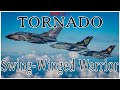 Panavia Tornado Swing Winged Warrior Classic Documentary Raf Tornado Nato Coldwar Russia