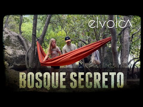 Un BOSQUE SECRETO en SANTIAGO. 🤫🌳 