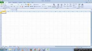 Microsoft Office Excel 2010 Insert a New Worksheet