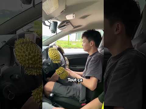 La Pire Première Leçon De Conduite