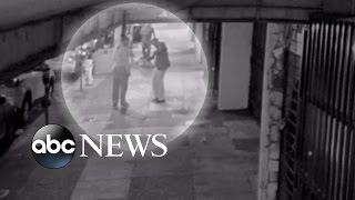 'Super Serena' Williams Stops Alleged Thief From Stealing Her Cellphone