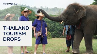 US-Israeli Iran conflict decimates Thailand tourism, Chiang Mai elephant attractions suffer