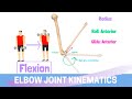 Elbow Joint Biomechanics & Kinesiology