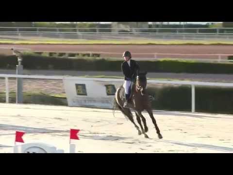 Vilma Catani & Brooklynn (Padinus * Larome), Cagnes s Mer CSI*, April 2015