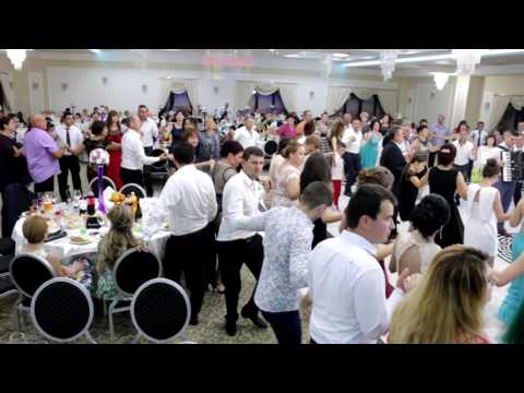 Oana Preda-Formatie nunta Pitesti-Hora nunta Apulum Events