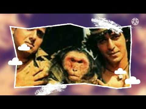 BADE KAAM KA BANDER - AANKHEN  SONG