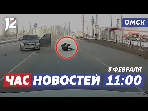 Водитель спасся чудом / Образование и единство / Лиса ворует сало. Новости Омска