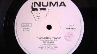 HOHOKAM  " Harlequin Tears "  12"