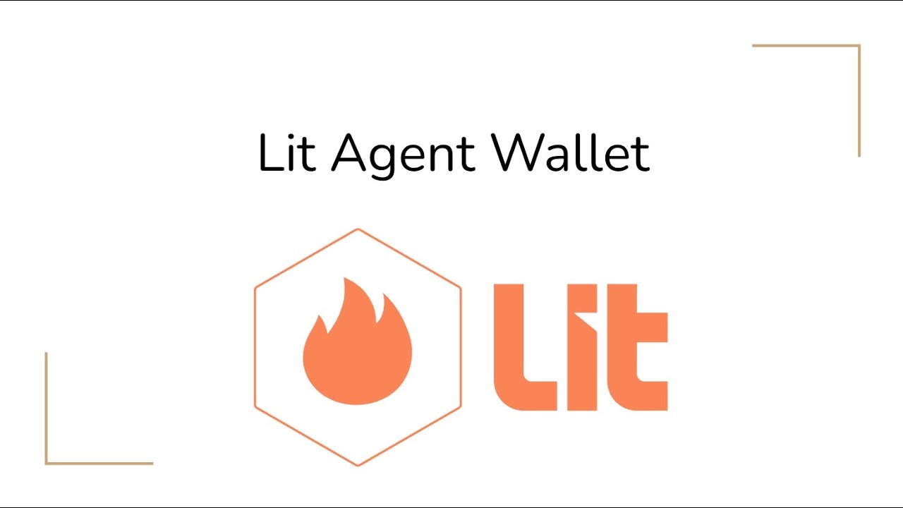 Lit Agent Wallet Demo