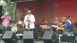 Pharoah Sanders - Virada Cultural 2013 (2)