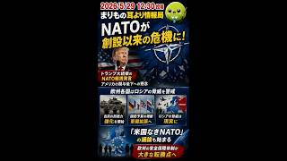 NATO崩壊の危機…トランプ発言が波紋 #ニュース解説 #一分でわかる #時事ネタ #国際ニュース #NATO #トランプ #ロシア #安全保障