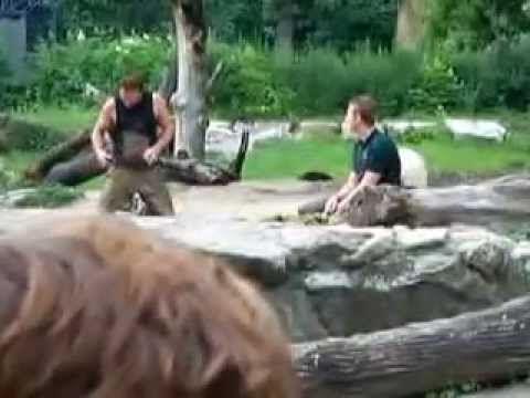 Zoo Berlin   Knut und Pfleger Dörflein