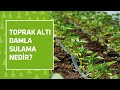 TOPRAK ALTI DAMLA SULAMA NEDİR?