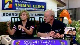 Dr. 4 Pets - Bark Busters Founder Sylvia Wilson - Dog Training of Fort Myers - Patrick Logue