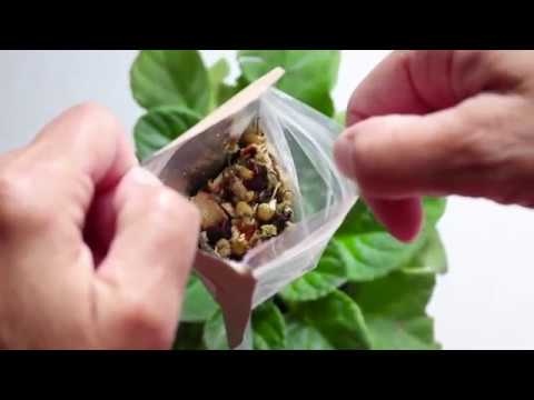 One- or Three-Month Subscription from Simple Loose Leaf (Up to 19% Off) - Second Medium