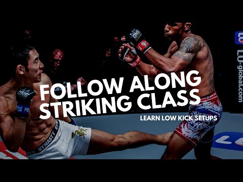 45 Minute Fighter's Follow Along Striking Class | NO Equipment Needed