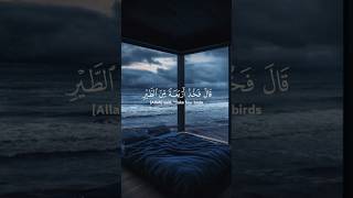 و إذ قال إبراهيم ربي أرني كيف تحيي الموتى عبد الرحمن مسعد