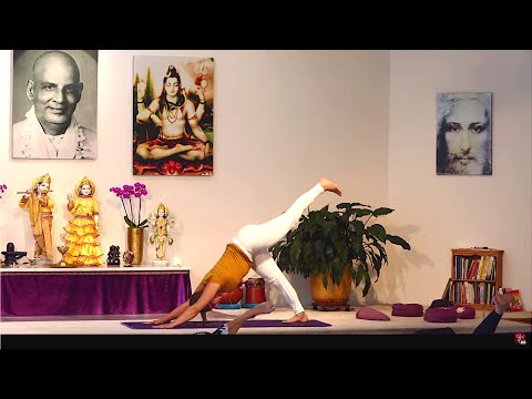 Yoga "Ankommensstunde" mit Elena - Yoga Vidya Grundreihe Mittelstufe 16:30 Uhr 21.08.2020