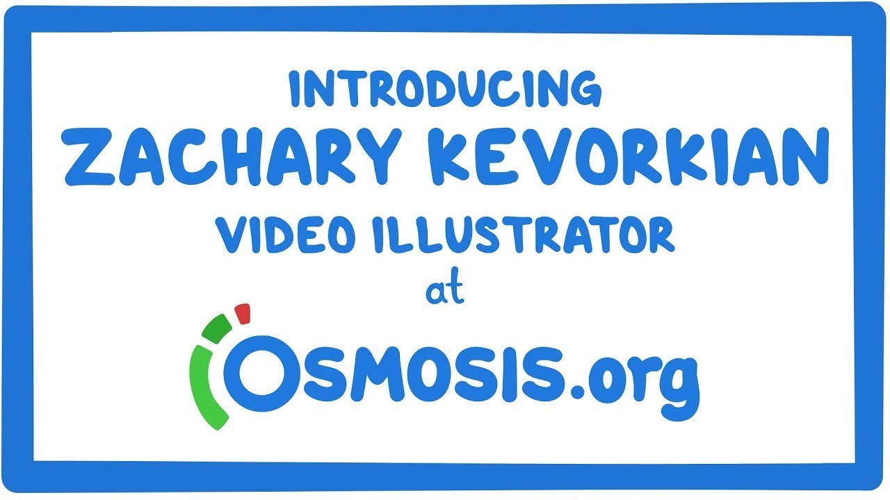 Meet the Team: Zachary Kevorkian