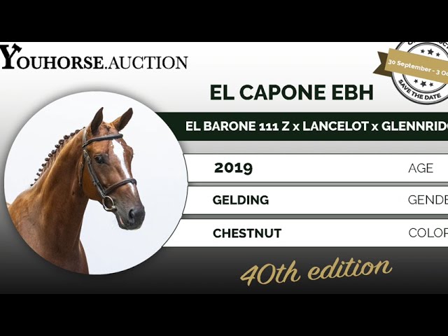 El Capone Tryout