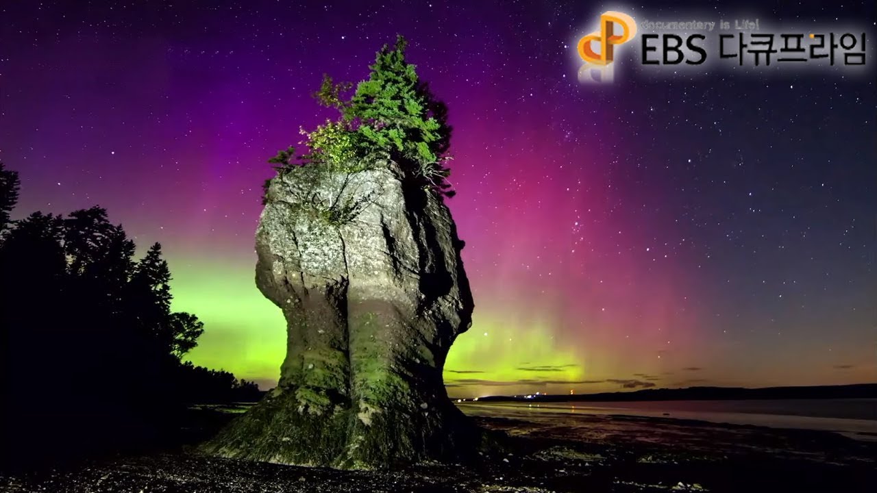 EBS 다큐프라임 - Docuprime_달의 기적 ( 달이 차오른다 )_#002